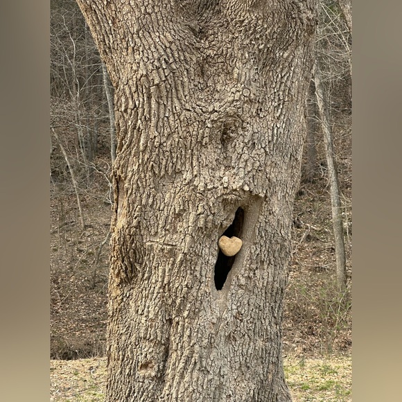 Meet your Posher, Whitney - Picture 13 of 13